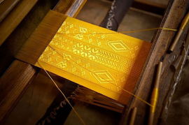 看看100萬(wàn)只蜘蛛絲制作的天價(jià)斗篷