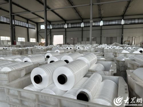 解碼經緯交錯間的堅守與創(chuàng)新——民企陽谷廣信的小小編織袋織出大天地